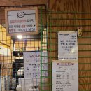 사바나 코쉬카 이미지