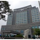 민들레의료복지사회적협동조합민들레의원 티스토리