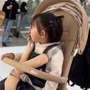 (주)디자인에이블 | 쌍둥이 에이블 코지 프리미엄 트라이크 휴대용 유모차, 트라이크 내 돈 내산 솔직후기
