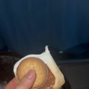 속초밤하늘펜션 이미지