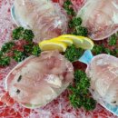 비원쏘가리 이미지