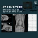 솔샘 동물병원 이미지