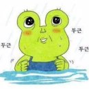 이효커피