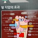 비타민당구클럽 | [황톳길 108일 대장정: 제6화] 헝가리 부다페스트의 야경, 황토 치유, 그리고 눈부신 액션과 로맨스의...
