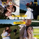 [Wedding] 제주스냅 견적 확인 - 끌림