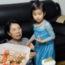 조조이의 주말 지낸 이야기 이미지