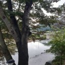 괴산펜션2 | 괴산가족펜션 다녀온 솔직후기! 냇가에서 다슬기 잡고 힐링한 하루