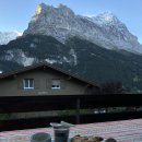 VIP우리약국 | [스위스 신혼여행] 융프라우vip패스·융프라우요흐·동신항운·융프라우눈썰매·고산병·얼음동굴