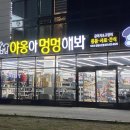야옹아멍멍해봐강릉