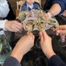 강진4호 | JW메리어트 동대문스퀘어 타볼로24 주말런치