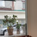 베르도네연신내