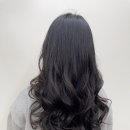 강아지집 미용실 이미지