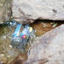 소초농장 이미지