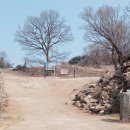 해동산야초원 | 여주에서(차박 스물아홉 번째)