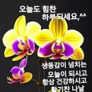 상서로 이미지