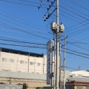 르노 삼성자동차지정정비코너 무송점 이미지