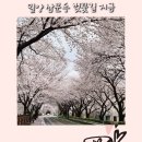 삼문강변로 네이버블로그