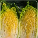 유기농명인의 유기농항암배추. 갓황금배추. 유기농무 판매합니다 이미지