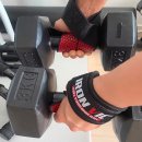 핏불핏 | 근력운동 헬스 역도 크로스핏 리프팅 스트랩 추천, 아이언빅 핏불