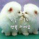 탁구왕김탁구 - 동작구 서달로14가길 1 | 탁구왕김탁구