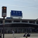 신안의전