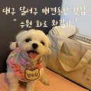 수원화로왕갈비 이미지