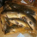 소양계곡낚시터 이미지