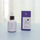 르사(LSA) 이미지