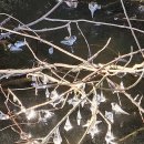 갈비촌주유소 이미지