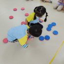 서일유치원 이미지