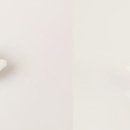 J6644 이미지