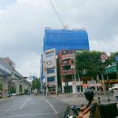 동성초 앞 이미지