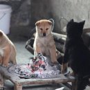 옹기종기 이미지