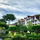 보성해장국 이미지