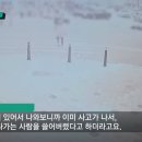 분당에서 페달오인사고 이미지