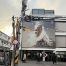 사진전시 | [대림미술관] 감성을 담은 사진, 패트라 콜린스 전시 후기