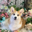 오늘, 더 예쁘게 이미지