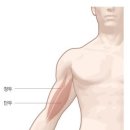 DM 휘트니스 이미지