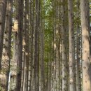 아가페모텔 이미지