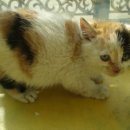 서원동-10 이미지