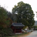 청주한씨 열녀문 이미지