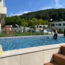 모모애견 이미지