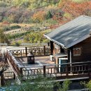 홍천 에어비앤비 :: 서나와 할아버지 통나무집 감성 가성비 둘다잡은 인생숙소