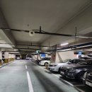 내가닭도리탕이다 | 창원중앙동맛집 내가닭도리탕이다 후기