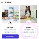 몽글몽글 펫 | 다묘 집사의 가계부 현타, 네이버 펫 바우처로 해결