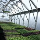 블루힐농장 | [Global Expedition] Agricultural Heatlh_도시농업의 선두 주자, 뉴욕 방문기_#1