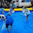 삼천포 용궁수산시장#8 이미지