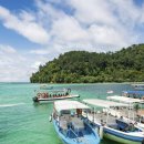 고유종농장 | 코타키나발루 사바 사피섬: 다이빙과 정글