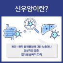 신우특수 네이버블로그