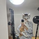 코아루보쌈